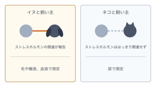 飼い主と動物のストレスホルモンのつながりを、イヌとネコで比べた図です。イヌではつながりが報告されていますが、今回のネコでははっきりせず、測り方(下の段)も違います。