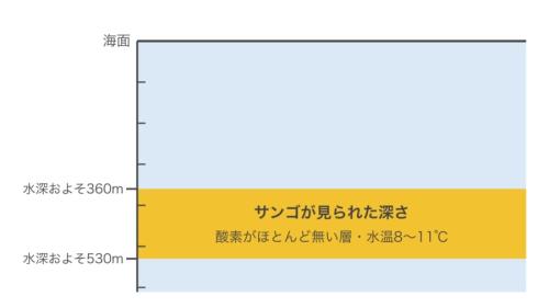 黄金のサンゴが見られた海の深さを示した図です。黄色の帯の層は酸素がほとんど無く、水温も8〜11℃ほどしかありません。