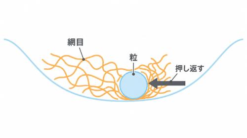 液体の中の網目と粒の関係を表したイメージ図で、大きさや形は正確ではありません。粒が動くと網目がゆがみ、そのゆがみが粒を押し返すことで、網目が粒の動きを「覚えて」いる様子を見られます。