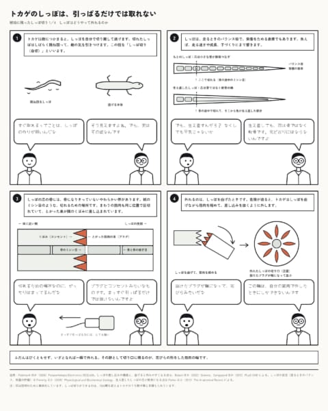 トカゲのしっぽは「ミシン目」で外れるようにできている