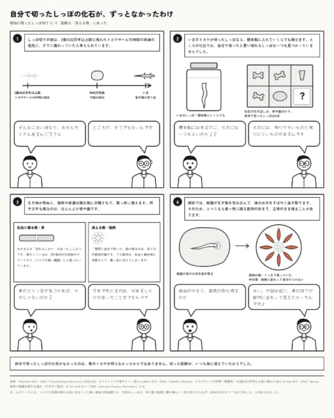 トカゲが切り落としたしっぽの化石は、これまで一つもなかった