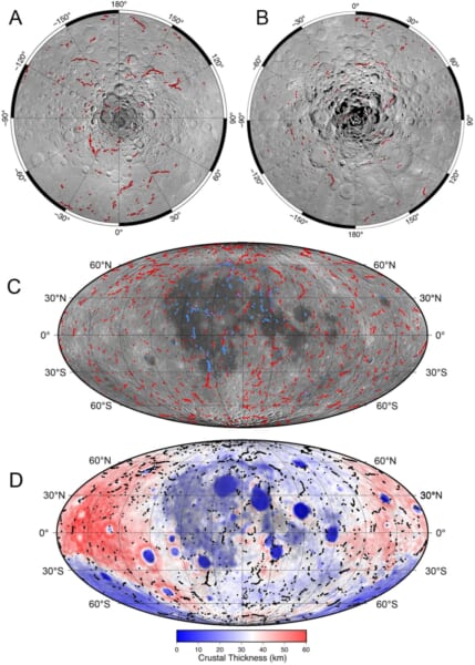 見つかった崖の場所を、月面全体の地図に描き込んだ図です(論文の図2)。(A)と(B)は北極と南極のまわり、(C)は月面全体で、赤い線が崖、青い線が海の地域にある小さな尾根のような断層です。