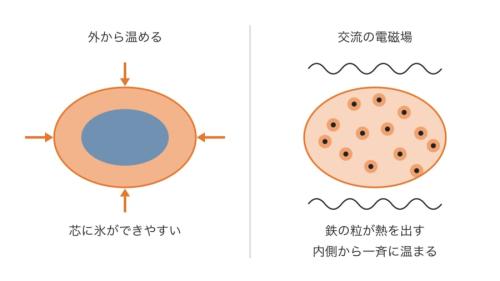 腎臓を外から温める場合と、中の鉄の粒で温める場合を比べたイメージ図です(形や大きさは正確ではありません)。左は芯が冷たく残り、右は鉄の粒が熱を出して内側から一斉に温まる点を見比べてください。
