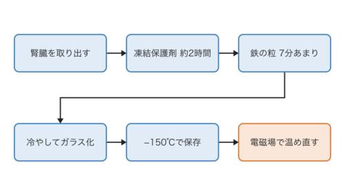 腎臓を凍らせて保存し、温め直すまでの手順を順に並べた図です。左上から矢印の順にたどると、薬をなじませるのに約2時間、鉄の粒を流すのに7分あまりかかることが分かります。