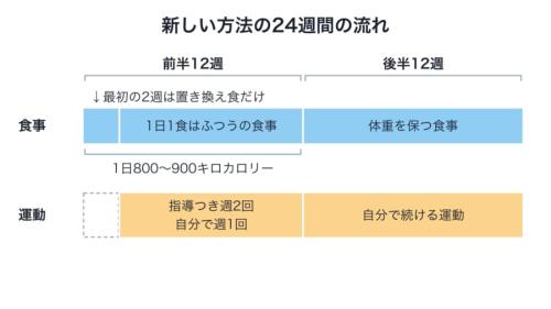 新しい方法の24週間で、食事と運動を時期ごとにどう変えたかを並べた図です。帯の長さは週の数に合わせてあり、運動は3週目から始まり、後半は体重を保つ段階に切り替わることが分かります。