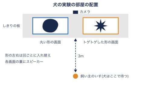 犬が音を聞きながら2つの形を見比べた部屋を、分かりやすく描いた図です。犬は2つの画面の真ん中を向いて待つので、どちらを見たかが頭の向きで分かります(縮尺は正確ではありません)。