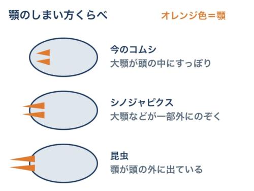 顎を頭の中にしまう作りと、外に出す作りを比べた模式図で、形や大きさは正確ではありません。シノジャピクスは今のコムシと違い、顎の一部が頭の外にのぞいていた点に注目してください。