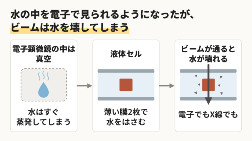 水の中を電子で見られるようになったが、ビームは水を壊してしまう