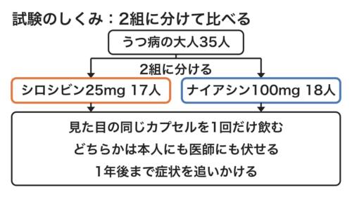 参加者を2つの組に分け、中身だけが違うカプセルを1回飲んでもらって比べた試験の流れを示した図です。ナイアシンは体のほてりを起こす「作用のある偽薬」で、どちらの組も同じ回数の心理的なサポートを受けました。