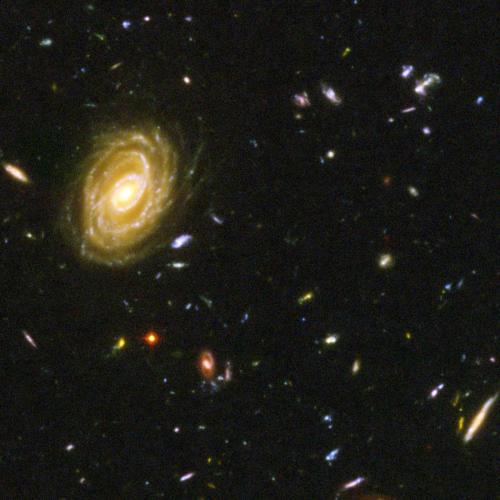 ハッブル・ウルトラ・ディープ・フィールドの一部を切り出した画像です。この一角は、宇宙をとびきり深く撮った写真がそろっている場所として知られています。
