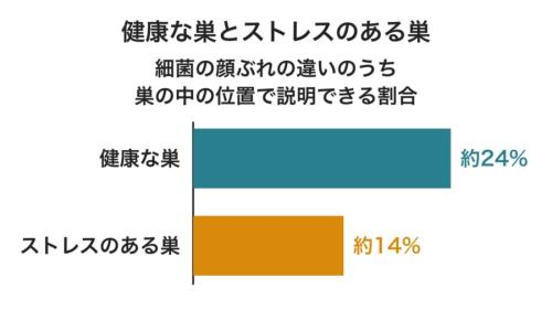 巣の中の場所で細菌の顔ぶれがどれだけ分かれているかを、巣の健康状態で比べた図です。棒が長いほど層がくっきり分かれていて、ストレスのある巣では4割ほど縮んでいました。