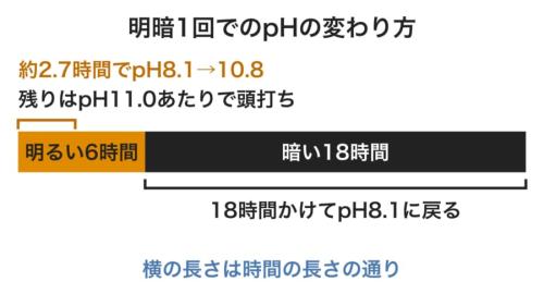 藻を育てた水のpHが、明暗1回(24時間)の間にどう変わるかを示した図です。短い明るい時間に一気に上がり、長い暗い時間をかけて戻ることが分かります。