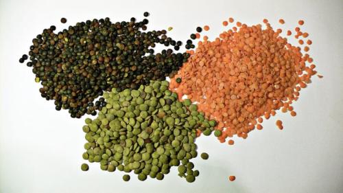 赤や緑など、3種類のレンズ豆です。