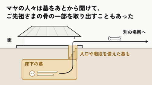 墓をあとから開けて、骨の一部を取り出す