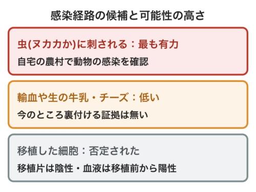 患者がどの道すじでウイルスに感染したかの候補を、可能性の高い順に上から並べた図です。虫に刺された道が最も有力で、移植による感染ははっきり外されています。