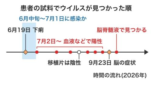 ウイルス検査の結果と症状を、日付の順に並べた模式図です。赤い丸の陽性は脳の症状より少なくとも2か月前から続き、移植片は陰性でした(線の形は模式的で、縮尺は正確ではありません)。