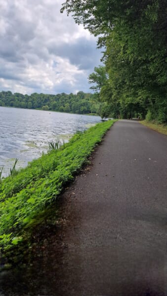 ドイツ・エッセンのバルデナイ湖で、湖岸に沿って舗装された道が緑の中を延びています。 マラソンの調査では、この湖を回る1周14kmのコースを走る日と歩く日がありました。