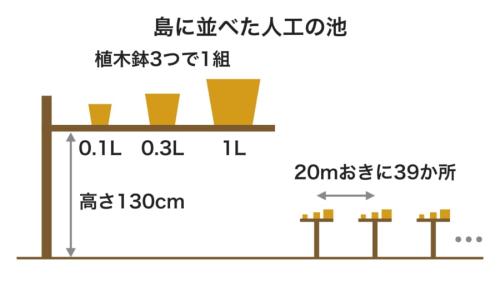 調査に使った人工の池のつくりと並べ方の図です(縮尺は正確ではありません)。大きさの違う鉢を組にして小道沿いに並べ、木の洞などの自然の繁殖場所とあわせて見て回りました。