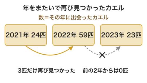 3回の雨季に出会ったカエルの数と、次の年以降にもう一度見つかった数を表した図です。年をまたいで見つかったのはごくわずかなので、模様が何年も変わらないかはまだ確かめられていません。