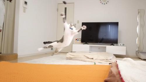 大ジャンプ