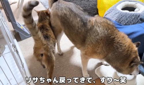 「リサちゃん戻ってきて、すり～笑」