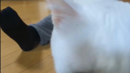 ドアップ
