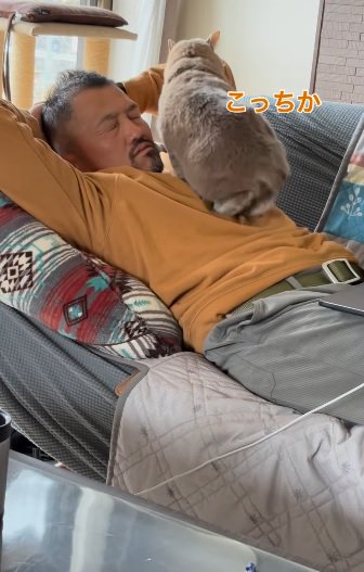 場所替え
