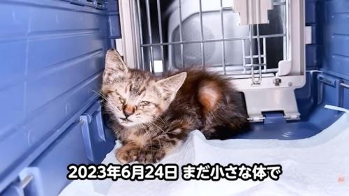 テロップ「2023年6月~」