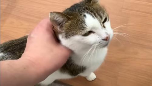 甘え中