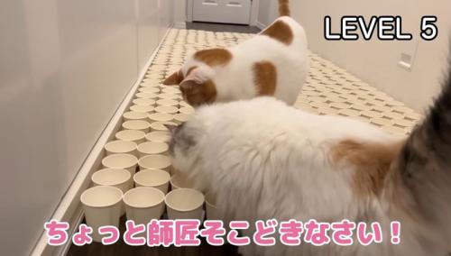 そこどきなさい!