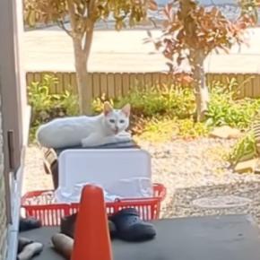 春に出会った