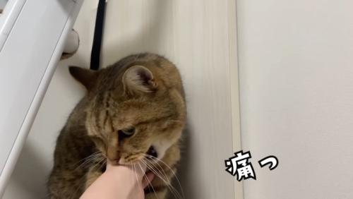 痛っ