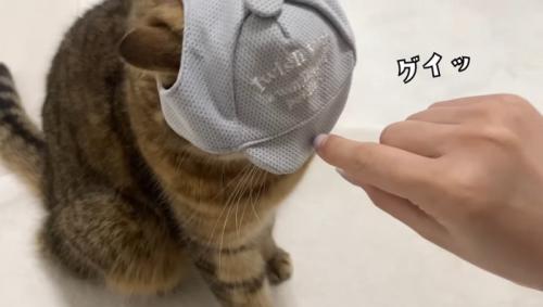 グイッ