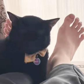 今にも『寝落ちしそうな猫』が、次の瞬間…吹き出す人が続出の