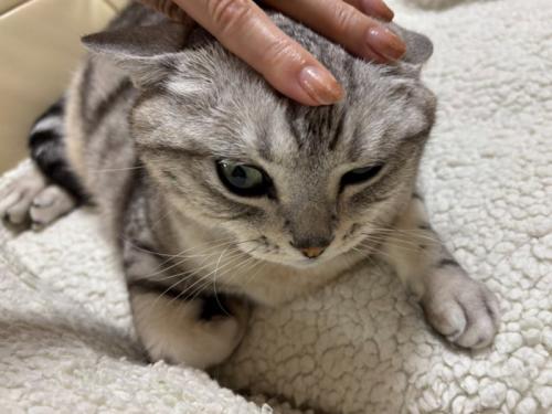 どういうこと?
