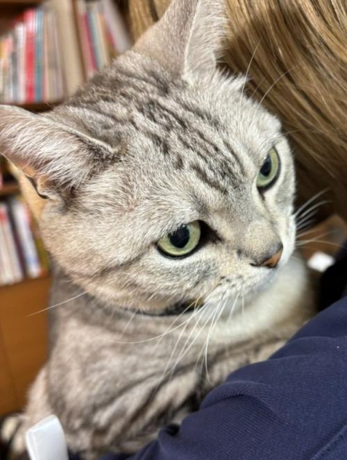 抱っこ