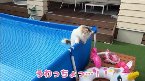 うわっちょっ…！！
