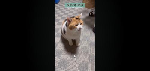 夜中の出来事