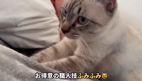 ふみふみ