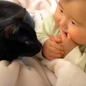 『まさかこんなに仲良くなるなんて…』猫と赤ちゃんが一緒に暮らした結果→『本当の兄弟のような姿』に「素敵な関係」「優しいお兄ちゃん」