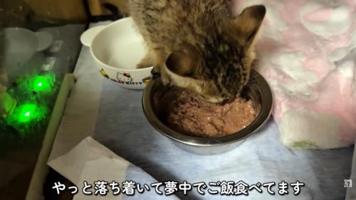 テロップ「やっと落ち着いて~」