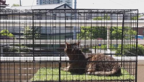 景色を眺め中