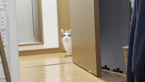 ドアの陰に
