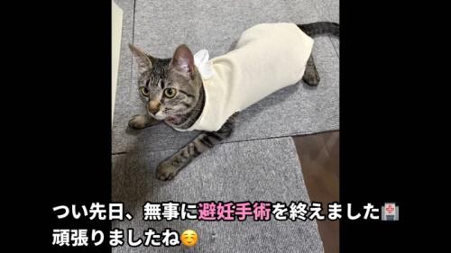テロップ「つい先日、無事に~」