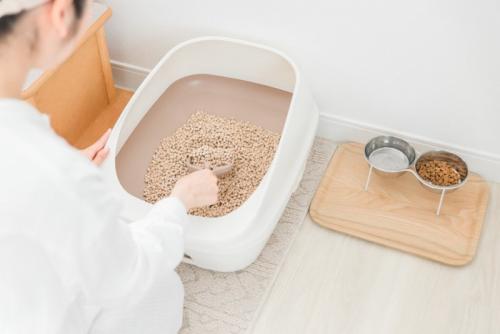 猫トイレを掃除している女性