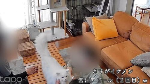 テロップ「さすがイケメン」
