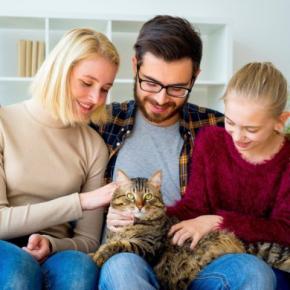 『猫の飼い方』昔に比べて変わったところ3選 食事や医療…猫を取り巻く時代の移り変わりとは