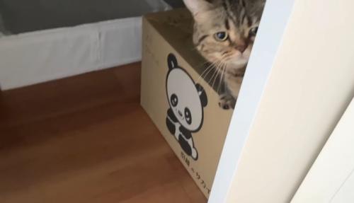 箱の上に