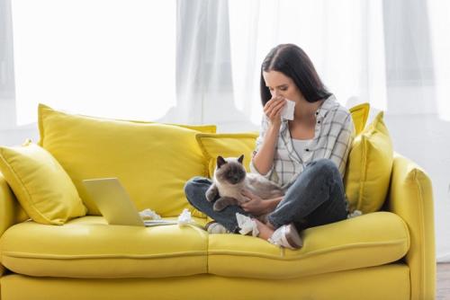 猫アレルギーの女性と猫