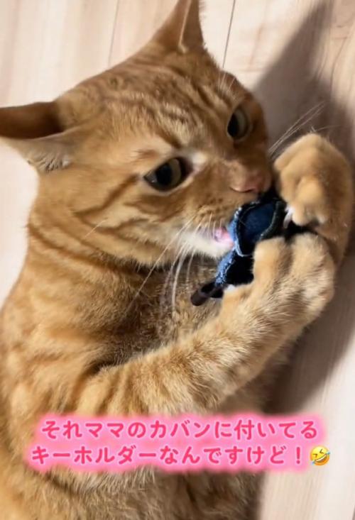 キーホルダーを持つトラくん